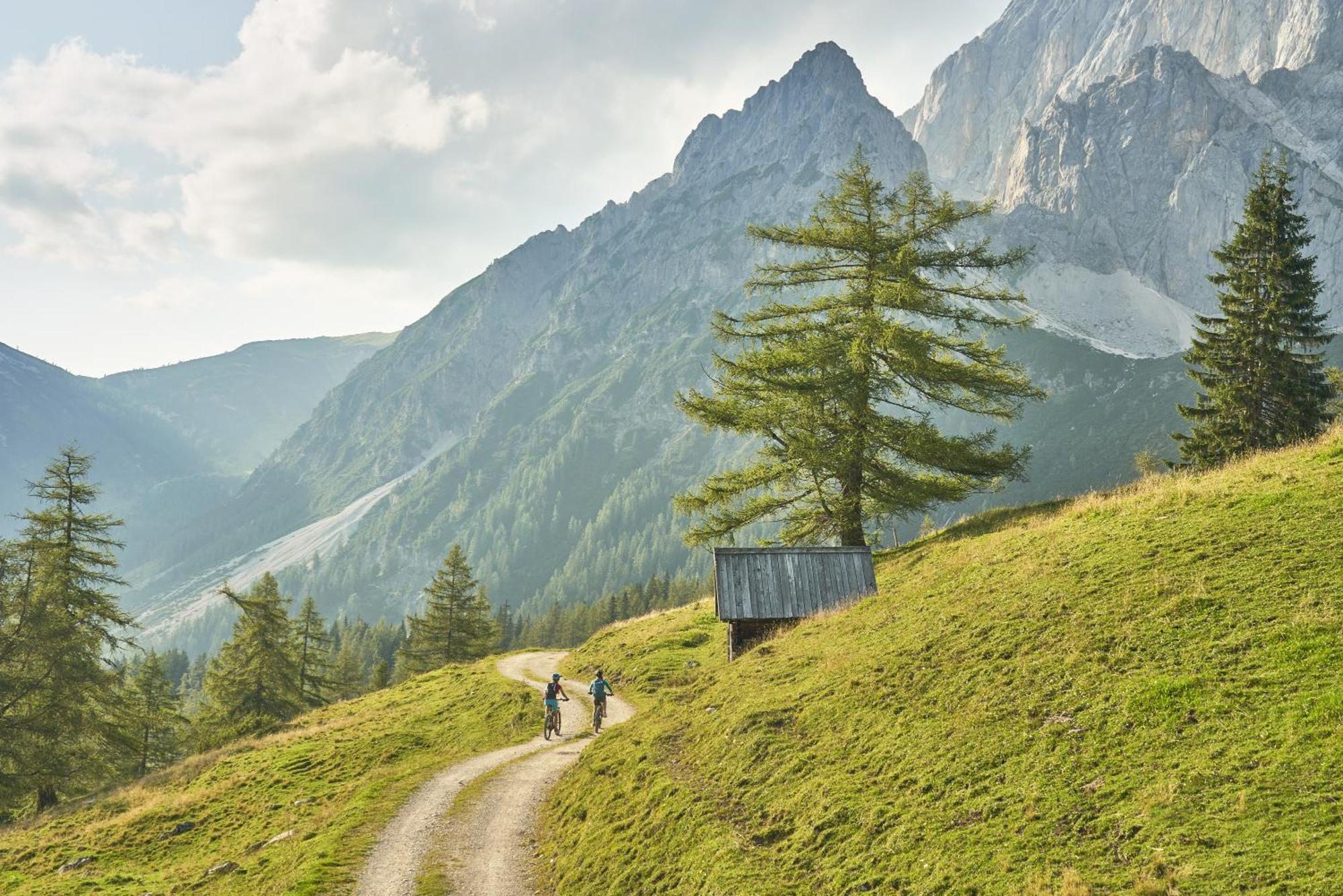 Bio-Bauernhof Simonbauer Villa Ramsau am Dachstein Eksteriør billede